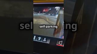 How The Self Parking Workshortvideo [upl. by Marthena]