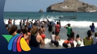 Regresan al mar a ballena varada en Mazatlán  Noticias de Mazatlán [upl. by Vladimar]