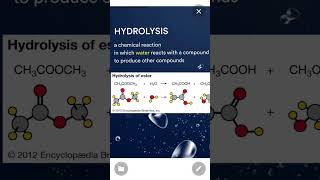 Hydrolysis Reaction  neet shorts chemistry [upl. by Ainat858]