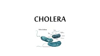 Cholera for Professional Exams  Rice water diarrhea  Vibrio cholerae  MBBS PYQs [upl. by Oicapot]