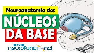 NÚCLEOS DA BASE Neuroanatomia Funcional Aula Completa [upl. by Elagiba]