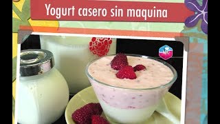 YOGURT CASERO SIN MAQUINA muy fácil al gusto que quieras  Acqua Rosa Recetas [upl. by Gaspard]