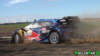 Herbst Rallye Dobersberg 2023  WRC Flat Out  Mistakes  Action [upl. by Nylssej]