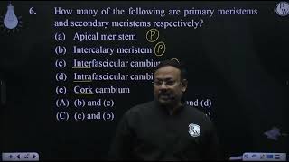 How many of the following are primary meristems and secondary meristems respectively a amp [upl. by Esertak220]