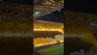 Dynamo Dresden mit Starker Choreo und Lautstärke [upl. by Gregg]