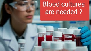 Blood cultures are not really needed  pathology Infection disease [upl. by Mohorva]