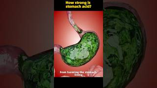 How strong is stomach acid [upl. by Nortal]