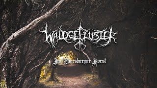 Waldgeflüster  Im Ebersberger Forst Official Lyric Video [upl. by Alahsal]