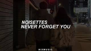 Noisettes  Never Forget You Tradução PTBR [upl. by Lilli715]