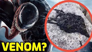 The REAL Venom Symbiote Explained [upl. by Phelia]