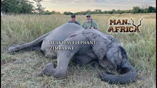 Man vs Africa Tuskless Elephant Zimbabwe [upl. by Ardena]