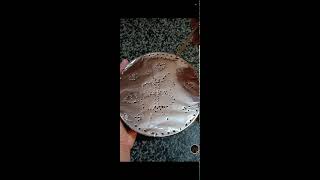 shamzavino Vlogs is live ODD ASMR  VERY SATISFYING FANTASTIC FOIL ASMR SOUND asmr trending foil [upl. by Elaina]