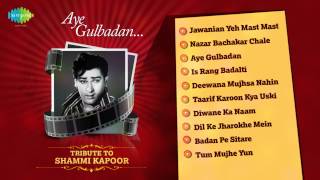 Shammi Kapoor Hit Songs Jukebox  Yeh Chand Sa Roshan Chehra amp More  Hit Romantic Hindi Songs [upl. by Yelekalb]