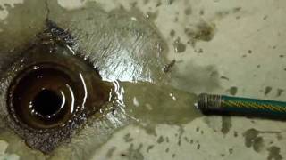 Annual Electric Water Heater Drain and Fill [upl. by Hubie]