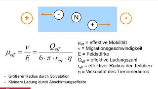 Kapillarelektrophorese Teil 2 Capillary Electrophoresis [upl. by Dlared]