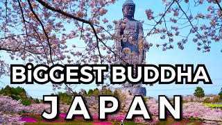 The BiGGest Buddha 120m • Virtual Japan • Ushiku Daibutsu shorts [upl. by Richard302]