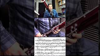 HOW TO PLAY THE SCHERZO 26 ON BASSOON bassoon music classical [upl. by Emersen502]