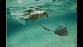 The Stingray Moment That CHANGED Steve Irwins Life [upl. by Peggir155]