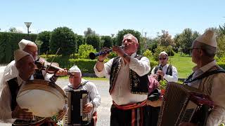 Grupi Sazeve Myzeqeja  Hyrje Tradicionale Myzeqare Sofra Myzeqare Folklori Autokton Myzeqare 2021 [upl. by Nafis505]