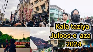 Kala taziya alvidai juloos Delhi juloos 2024 kisa zehra [upl. by Makell]