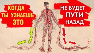 Ваша Скрытая Сила – Непроявленный Мир Ждёт Вашего Внимания [upl. by Fedirko]