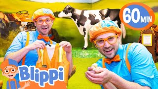 Blippis Occupation Exploration  Blippi  Educational Videos for Kids [upl. by Peer]