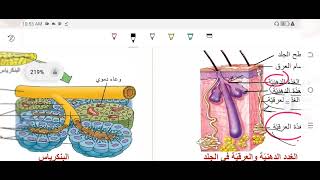 القسم الأول من درس الغدد الصم وهرموناتها حاثاتها  علم الاحياء والأرض [upl. by Nodnalb]