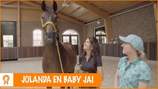 Los galopperen in de bak met Jolanda Adelaar  PaardenpraatTV [upl. by Inacana]