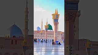 Labbaik ya Rasool Allah shortvideo virl [upl. by Doyle505]