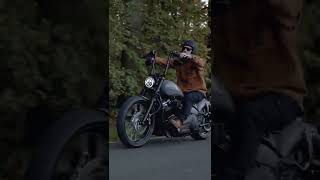 HarleyDavidson Street Bob Bobber quotGrey Hawkquot by Thunderbike Customs [upl. by Nostets]