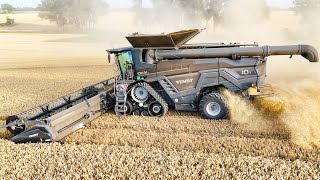 FENDT IDEAT 10T mit 12m PowerFlow Schneidwerk bei der WeizenernteWheat harvest 2024 [upl. by Brew398]