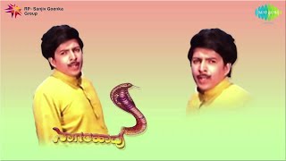 Haavina Dwesha Audio Song  Naagarahaavu  Vishnuvardhan  Vijaya Bhaskar  SP Balasubramaniam [upl. by Eikcir]