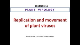 Replication and movement of plant viruses [upl. by Idnis]