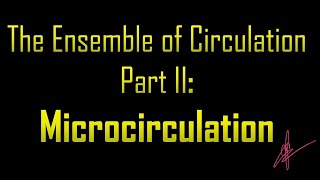 Ensemble of Circulation Part II  Microcirculation  The Pacemaker [upl. by Kunin]