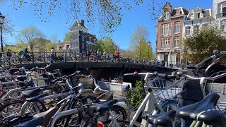 Amsterdam minicruise on DFDS Seaways [upl. by Ranchod]