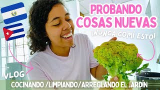 🇨🇺MI REALIDAD VIVIENDO EN EL SALVADOR 🇸🇻 UN DÍA CONMIGO Y ACLARADO DUDAS✨ VLOG [upl. by Annayak]