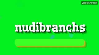 HOW TO PRONOUNCE NUDIBRANCHS [upl. by Piwowar830]