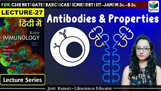 Immunology Antibody amp Its Properties  Lecture 27 [upl. by Nirmak441]