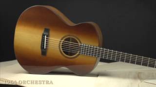 Bedell Guitars 1964 Orchestra Acoustic Guitar [upl. by Arabelle]