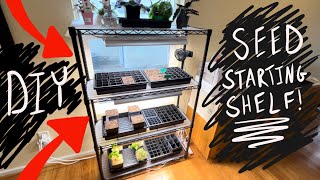 DIY Seed Starting Shelf  Full Cost Breakdown [upl. by Nisse]