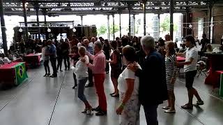 Salsa Lessen Antwerpen  Salsa Elegance Belgium the right place to learn Salsa [upl. by Cnahc355]