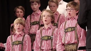 WA MOZART quotDie Zauberflötequot 3 Knaben  Tölzer Knabenchor soloists [upl. by Katz]