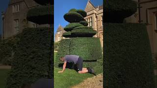 This guy cut the grass PT2 shorts youtubeshorts shortsfeed viralvideo viralshort [upl. by Ecirtaed924]