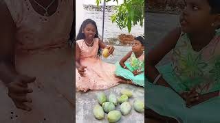 Mango 🥭 harvesting trending comedy tamil video songs shorts music chuttiesofficial [upl. by Teddman]