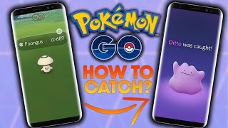 Ditto Hunting in October 2023 Shiny Ditto amp Disguises Revealed Pokémon GO Secrets Revealed [upl. by Faustina]