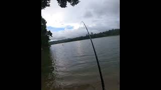 Miren que hermoso lago guajataca 🇵🇷🎣 [upl. by Adniuqal]