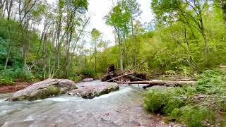 The Flood Rerouted The River To Damascus VA [upl. by Foscalina]