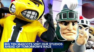 Big 10 mascots visit ABC7 studio ahead of 10K race [upl. by Enomor]