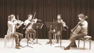 Feuerbach Quartett  Skyfall Adele [upl. by Jeremie]