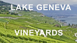 Lake Geneva Vineyards [upl. by Udenihc]